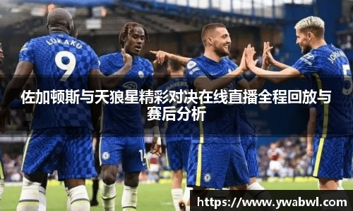 佐加顿斯与天狼星精彩对决在线直播全程回放与赛后分析